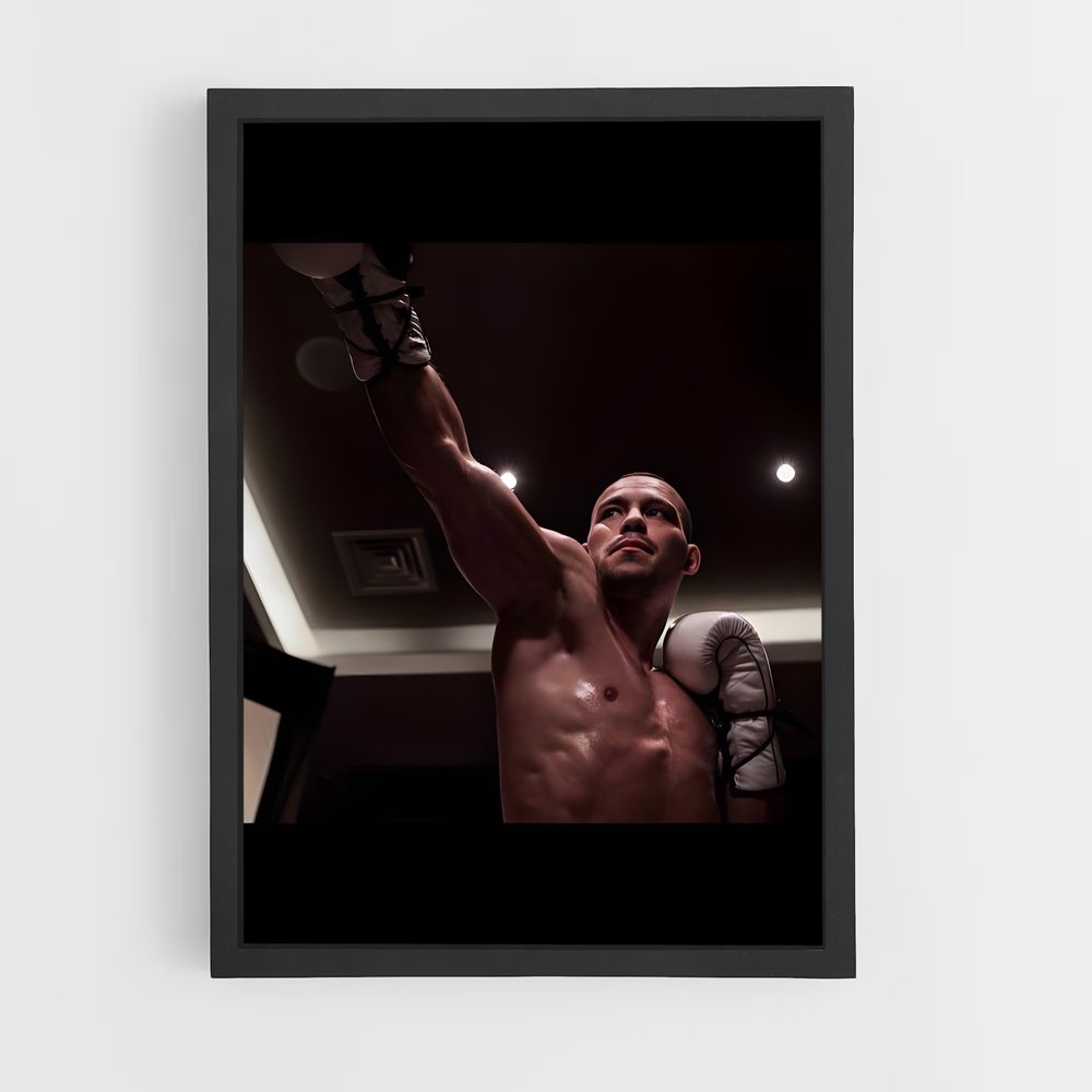 Poster Robin van Punchline – affiche Kick-boxing (vue 2)